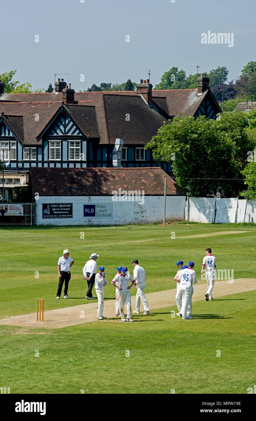 University sport - men`s cricket, Coventry, UK Stock Photo